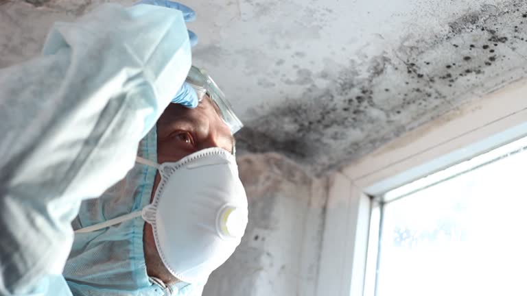 Mold Remediation for Rental Properties in Mastic, NY